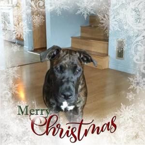 Meet your Posher, Chad